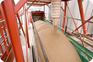 German pellets productie